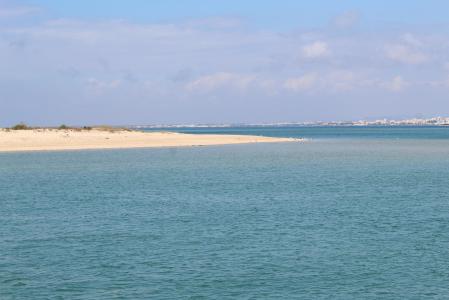 a large body of water