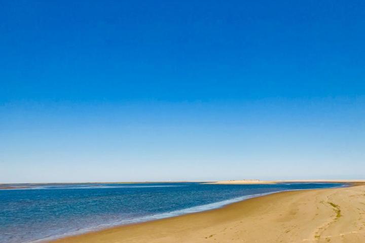 a sandy beach next to the ocean