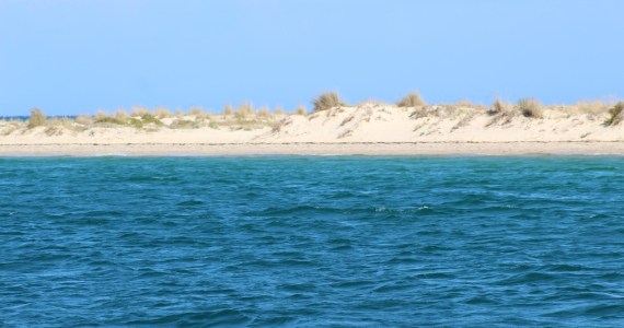 a body of water