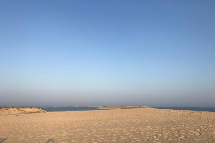 a group of people on a beach