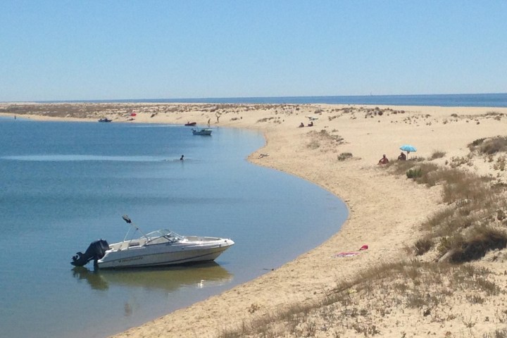 a group of people on a beach near a body of water