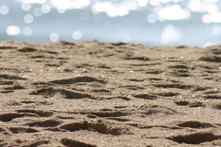 a close up of a sandy beach