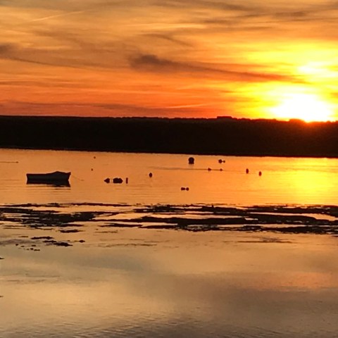 Sunset over calm water with a heron and boats, orange sky reflected in water.