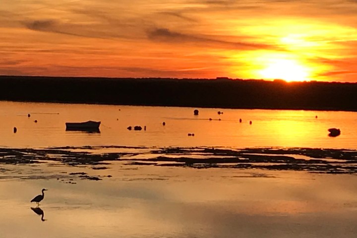 Sunset over calm water with a heron and boats, orange sky reflected in water.